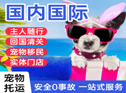 周水子空运地址国际宠物托运 【国